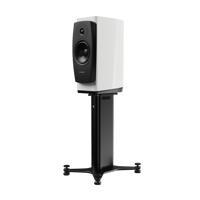 Dynaudio Confidence 20A variant 8