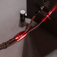 AudioQuest Brave Heart Full-Range variant 9