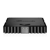 Burmester 036 variant 2