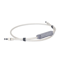 SOtM dCBL-CAT7u variant 1