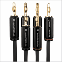 Tributaries Cables Model 4BW variant 2