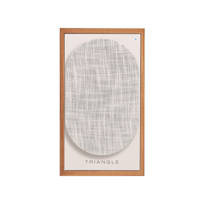 Triangle BR02 CONNECT variant 14