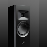 MartinLogan Motion F20 variant 43