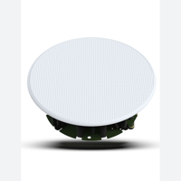 GoldenEar Invisa SP 652 variant 2