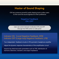 Cayin C9ii variant 23