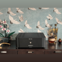 Wells Audio Akasha II variant 1