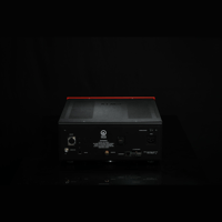 SW1x VDT I Valve Digital Transport Player & Music Streamer variant 13