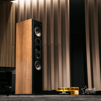 VAF VAF Signature i93 MKV Floorstanding Speakers variant 2