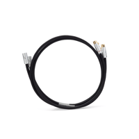 Shunyata Research THETA XLR variant 2