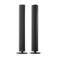 Piega usa Ace 50 Wireless Floorstanding Speakers [Pair] variant 8