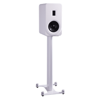 PS Audio Aspen FR5 Loudspeaker variant 5