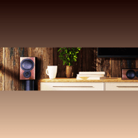 Mission QX-2 MKII variant 12