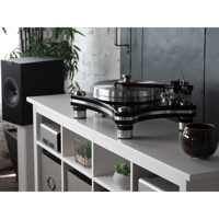 VPI Industries Signature 21 variant 17