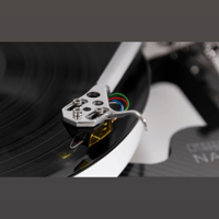 Rega RB Titanium variant 3