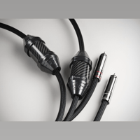 Shunyata Research ALPHA-X RCA | XLR | Phono variant 5