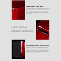 Cayin T30 MK2 variant 10