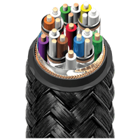 AudioQuest Dragon eARC Priority variant 3