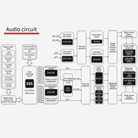 Cayin CS-100DAC variant 6