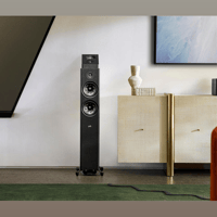 Denon Reserve R500 variant 8