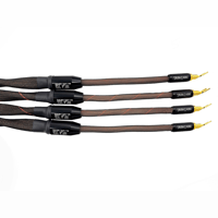 Tara Labs RSC® Air Evolution variant 1