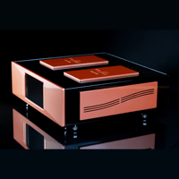 Merrill Audio ELEMENT 116MX Power Amplifier Monoblocks variant 3