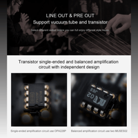 Cayin CS-100DAC variant 4