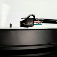 Gold Note machiavelli-mkii variant 4