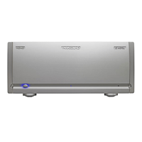 Parasound JCA100 Tribute Monoblock (Matched Pair) variant 1