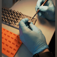 Sennheiser IE 600 variant 10