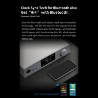 Aune aune S9c Pro DAC with Headphone Amp with AL3 XLR Balanced Male to Female 3-Pin Audio Cable 1 Pair variant 15