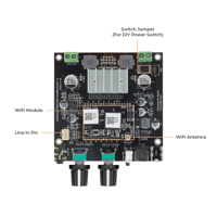 Arylic Up2Stream Amp Sub - Multiroom Wireless Subwoofer Amplifier Board variant 4