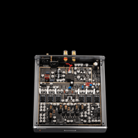 Burson Audio Timekeeper GT4 variant 13