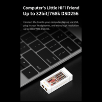 Aune Yuki USB DAC with Headphone Amp variant 10