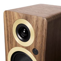 Argon Audio FORTE A5 WIFI variant 10