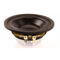 Morel Hifi CAW 428 variant 1