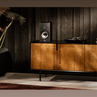 Denon Reserve R200 variant 4
