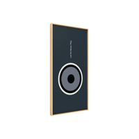 Vicoustic Echo Frame Music variant 8