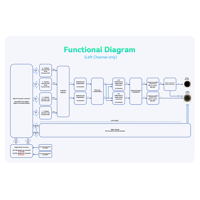 Cayin N6iii R202 variant 10