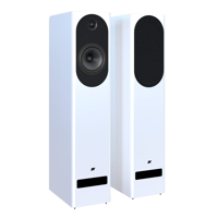 JMR-Jean-Marie Reynaud  EuterpeJubile variant 3