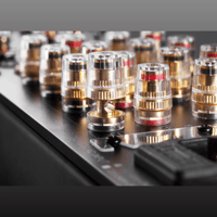 Starke Sound Fiera8 variant 4