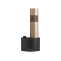 B&O-Bang & Olufsen  Beosound Bollard variant 1