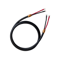 Cardas Clear Reflection Speaker variant 1