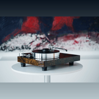 Pro-ject Audio Systems - USA Xtension 12 Evolution variant 2