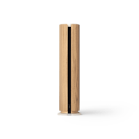 B&O-Bang & Olufsen  Beosound Emerge variant 10