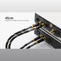 Cayin CS-6RCA variant 5