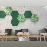 Vicoustic Vixagon VMT variant 4