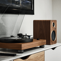 Argon Audio TT-4 MK2 variant 33