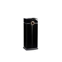 Steinway Lyngdorf Head unit processor variant 1