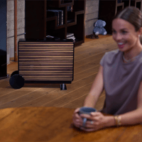 REL Acoustics Planar PL-2 variant 4