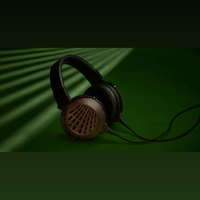 Fostex TH616 variant 2